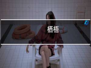 栖梧(关于栖梧的简介)