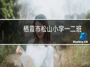 栖霞市松山小学一二班志愿者服务队(关于栖霞市松山小学一二班志愿者服务队的简介)