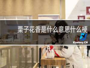 栗子花香是什么意思什么梗