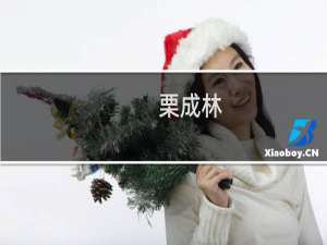 栗成林(关于栗成林的简介)