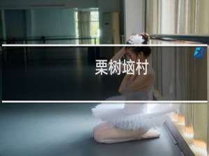 栗树垴村(关于栗树垴村的简介)