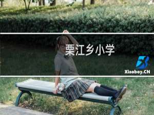 栗江乡小学(关于栗江乡小学的简介)