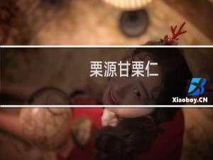 栗源甘栗仁(关于栗源甘栗仁的简介)