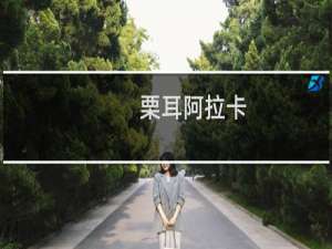 栗耳阿拉卡(关于栗耳阿拉卡的简介)