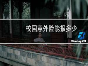 校园意外险能报多少