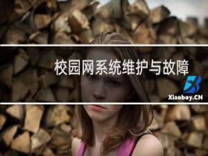 校园网系统维护与故障诊断(关于校园网系统维护与故障诊断的简介)
