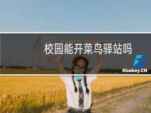 校园能开菜鸟驿站吗