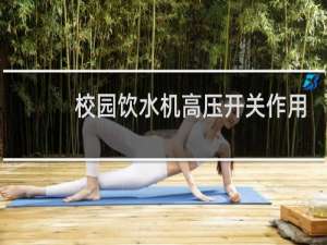 校园饮水机高压开关作用