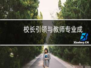 校长引领与教师专业成长(关于校长引领与教师专业成长的简介)