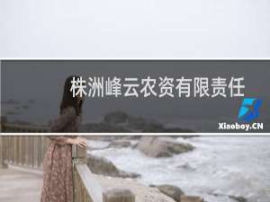 株洲峰云农资有限责任公司(关于株洲峰云农资有限责任公司的简介)