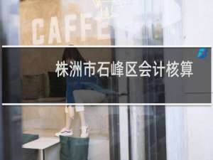 株洲市石峰区会计核算财务报帐暂行办法(关于株洲市石峰区会计核算财务报帐暂行办法的简介)