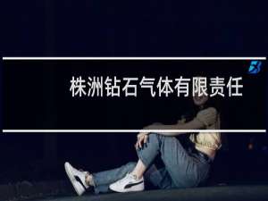 株洲钻石气体有限责任公司(关于株洲钻石气体有限责任公司的简介)