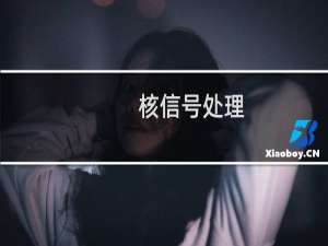 核信号处理(关于核信号处理的简介)