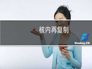 核内再复制(关于核内再复制的简介)