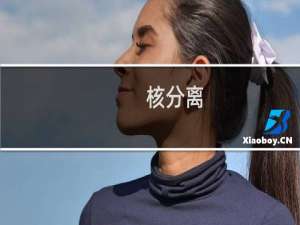 核分离(关于核分离的简介)