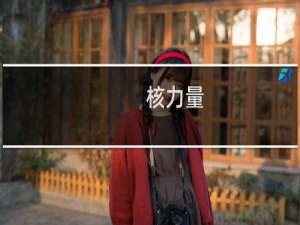 核力量(关于核力量的简介)