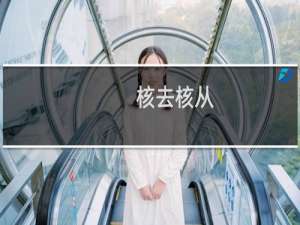 核去核从(关于核去核从的简介)
