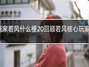 核心玩家若风什么梗 回顾若风核心玩家事件什么梗