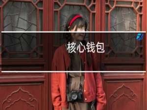 核心钱包(关于核心钱包的简介)