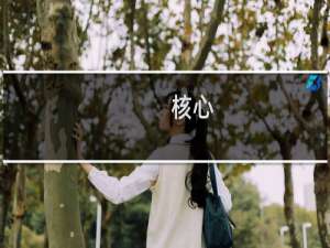 核心-边缘论(关于核心-边缘论的简介)