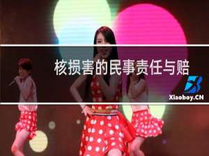 核损害的民事责任与赔偿(关于核损害的民事责任与赔偿的简介)