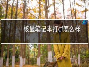 核显笔记本打cf怎么样