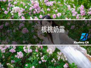 核桃奶露(关于核桃奶露的简介)