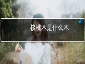 核桃木是什么木