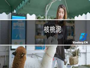 核桃泥(关于核桃泥的简介)