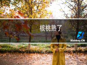 核桃熟了(关于核桃熟了的简介)