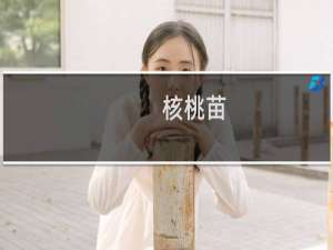 核桃苗(关于核桃苗的简介)