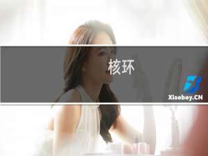 核环(关于核环的简介)