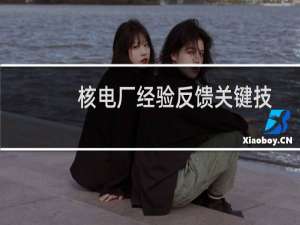 核电厂经验反馈关键技术(关于核电厂经验反馈关键技术的简介)