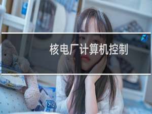 核电厂计算机控制(关于核电厂计算机控制的简介)