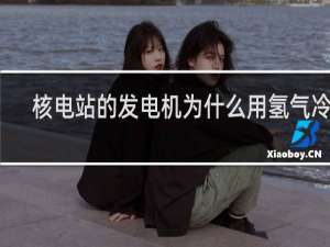 核电站的发电机为什么用氢气冷却