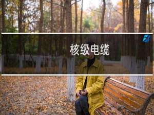 核级电缆(关于核级电缆的简介)