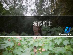 核能机士(关于核能机士的简介)