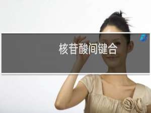 核苷酸间键合(关于核苷酸间键合的简介)