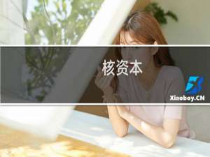 核资本(关于核资本的简介)