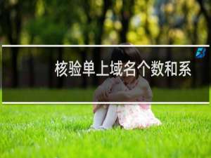 核验单上域名个数和系统内域名个数不符