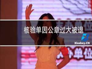 核验单因公章过大被退回-备案平台