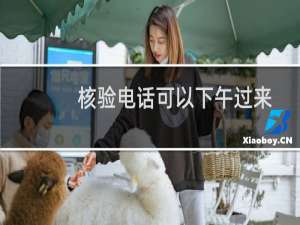 核验电话可以下午过来吗-备案平台