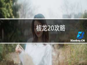核龙 攻略