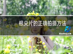 根尖片的正确拍摄方法