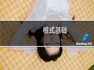 根式基础(关于根式基础的简介)