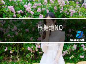 根据地NO.2(关于根据地NO.2的简介)