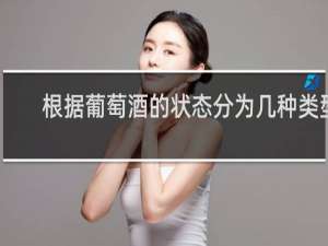 根据葡萄酒的状态分为几种类型
