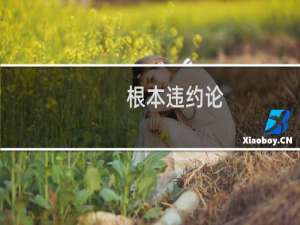 根本违约论(关于根本违约论的简介)