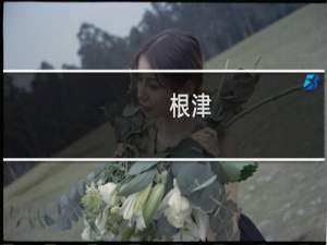 根津(关于根津的简介)