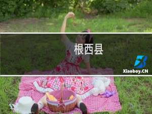 根西县(关于根西县的简介)